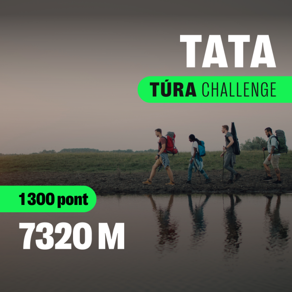 tatatura-1748280997